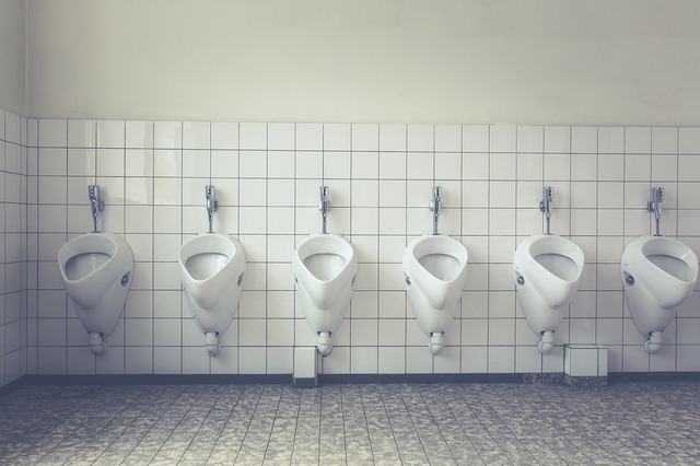 toilet-1542514_1280.jpg