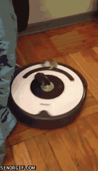 6d4f0341.gif