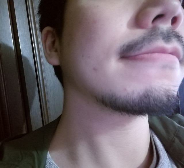 819102f0.jpg