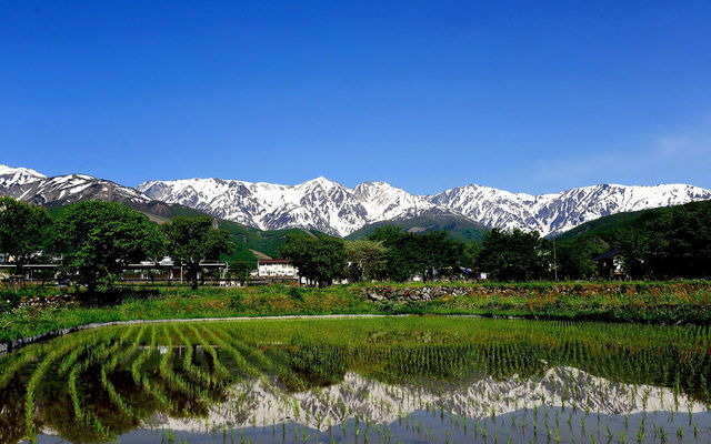 日本一美しい村が美しすぎるの画像２枚目！