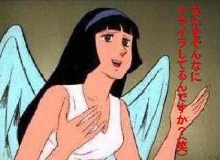 煽り画像スレの画像２７枚目！