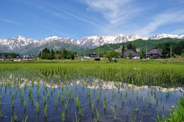 日本一美しい村が美しすぎるの画像３枚目！