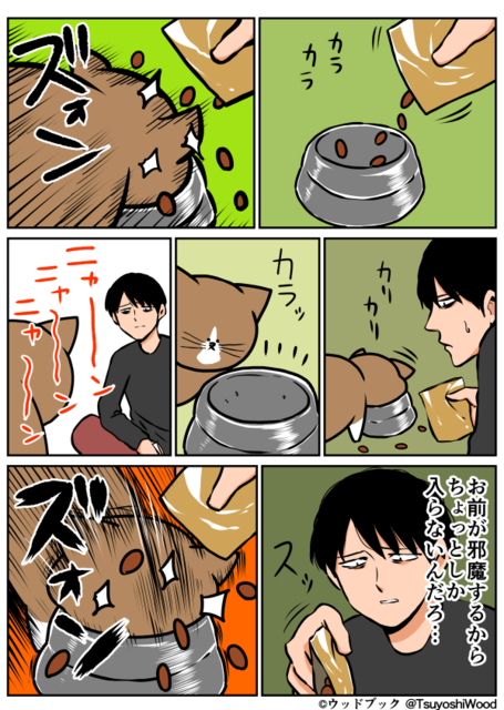 猫の画像３３枚目！