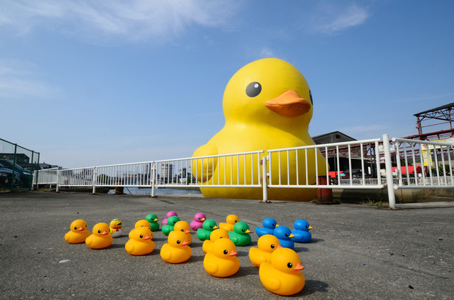 ひよこの画像３枚目！