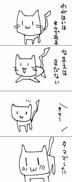 猫の画像４０枚目！