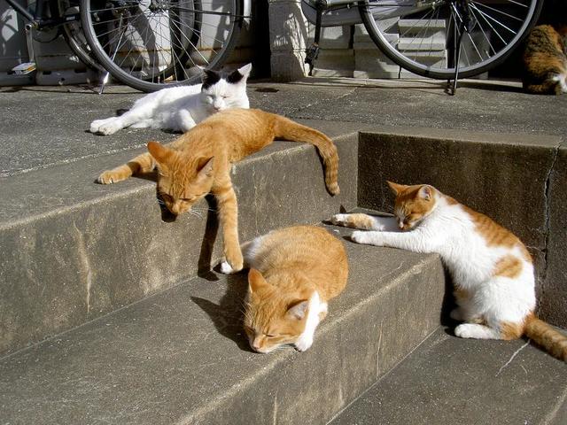 仕事行きたくなくなるの画像１枚目！