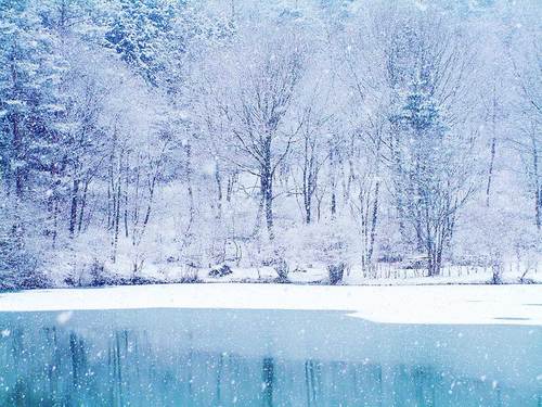 冬の画像を貼るスレの画像_201410262251_65