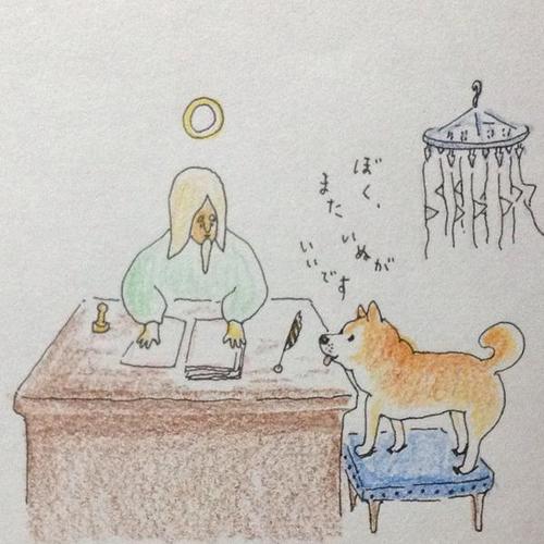 駄犬「ごすずん！さくらがさきはじめた」の画像３枚目！