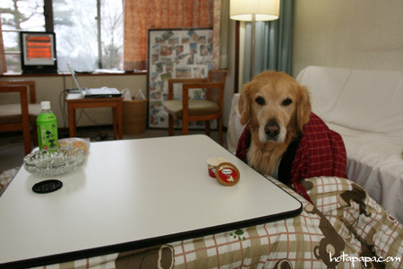 駄犬「ごすずん」の画像２９枚目！