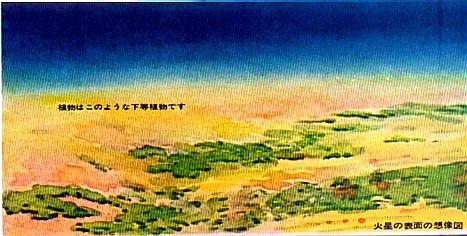 火星の画像５枚目！