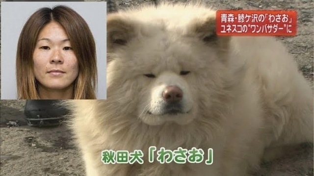 駄犬「ごすずん！さくらがさきはじめた」の画像２８枚目！
