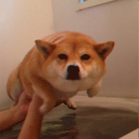 駄犬「ごすずん！さくらがさきはじめた」の画像１９枚目！