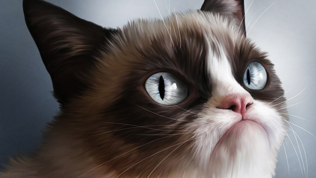 猫のきれいな画像を貼るよーの画像１１３５枚目！