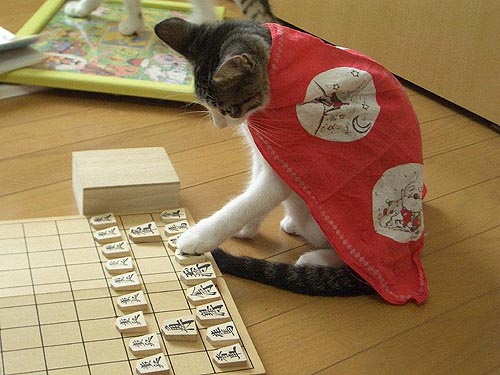 将棋