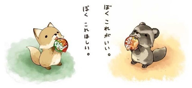 キツネ「コンコン」の画像１５枚目！