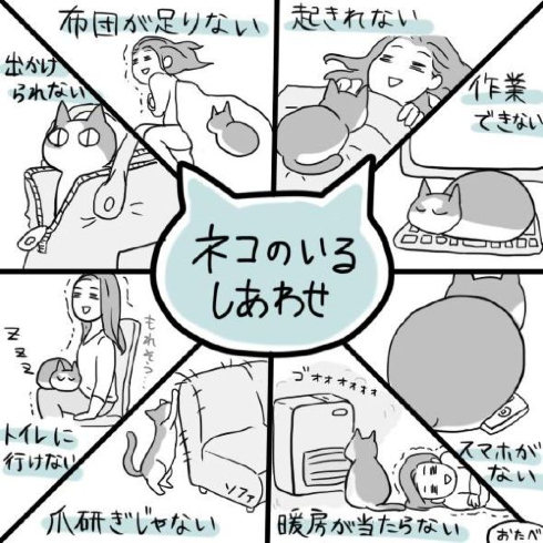 猫の画像２４枚目！