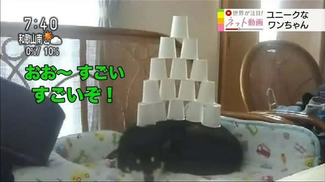 駄犬「ごすずん！さくらがさきはじめた」の画像６枚目！