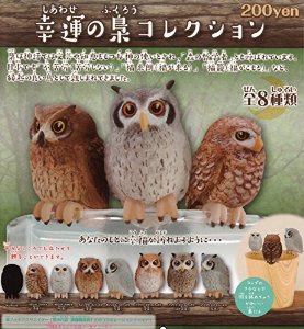 猛禽類かわいいの画像３５枚目！