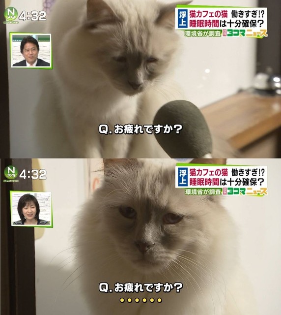 仕事行きたくなくなるの画像１０枚目！
