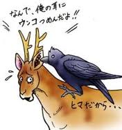 動物のするいたずらスレの画像３枚目！