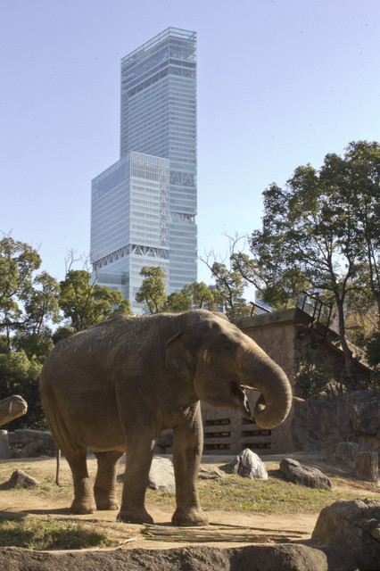 天王寺動物園で撮った写真を放出の画像１２３枚目！