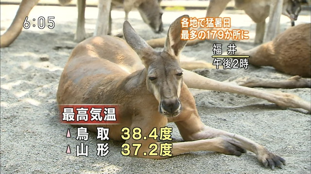仕事行きたくなくなるの画像３３枚目！
