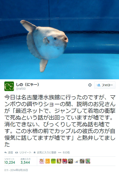 マンボウスレつくづく不思議な生き物の画像３枚目！