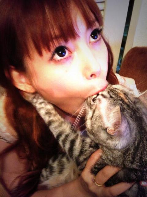 猫の画像３枚目！
