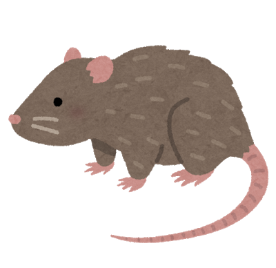animal_dobu_nezumi.png