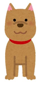 animal_dog_front.png