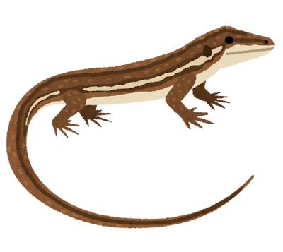 animal_kanahebi.png