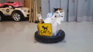 b02067a9.gif