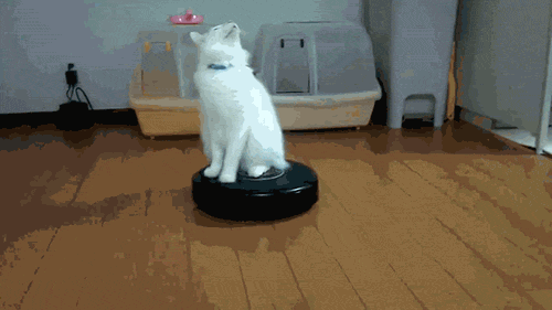 bff1a55e.gif