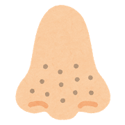 biyou_hana_kurozumi.png