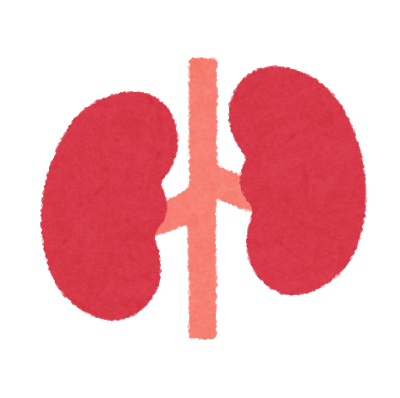 body_icon_09_jinzou.png
