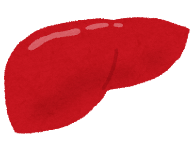 body_kanzou.png
