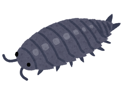 bug_warajimushi.png