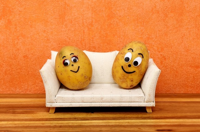 couch-potatoes-3116580_1280.jpg