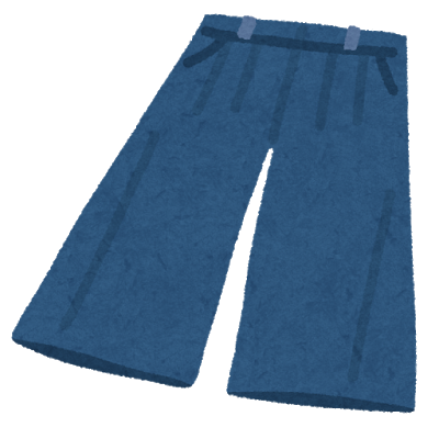 fashion_gaucho pants.png