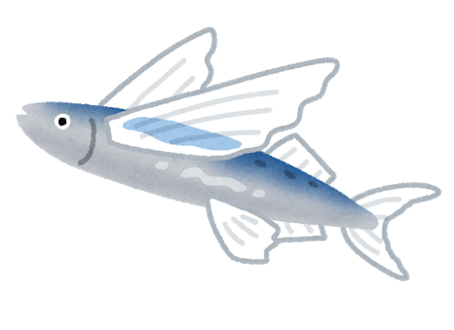 fish_tobiuo2.png