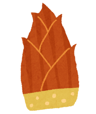takenoko_bamboo_shoot.png
