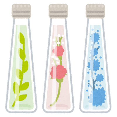 toy_herbarium.png