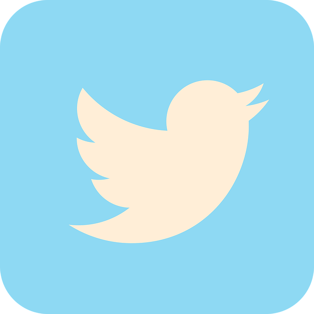 twitter-2430933_640.png