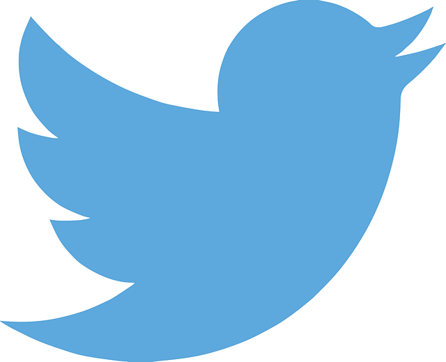twitter2.png