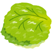 vegetable_lettuce.png